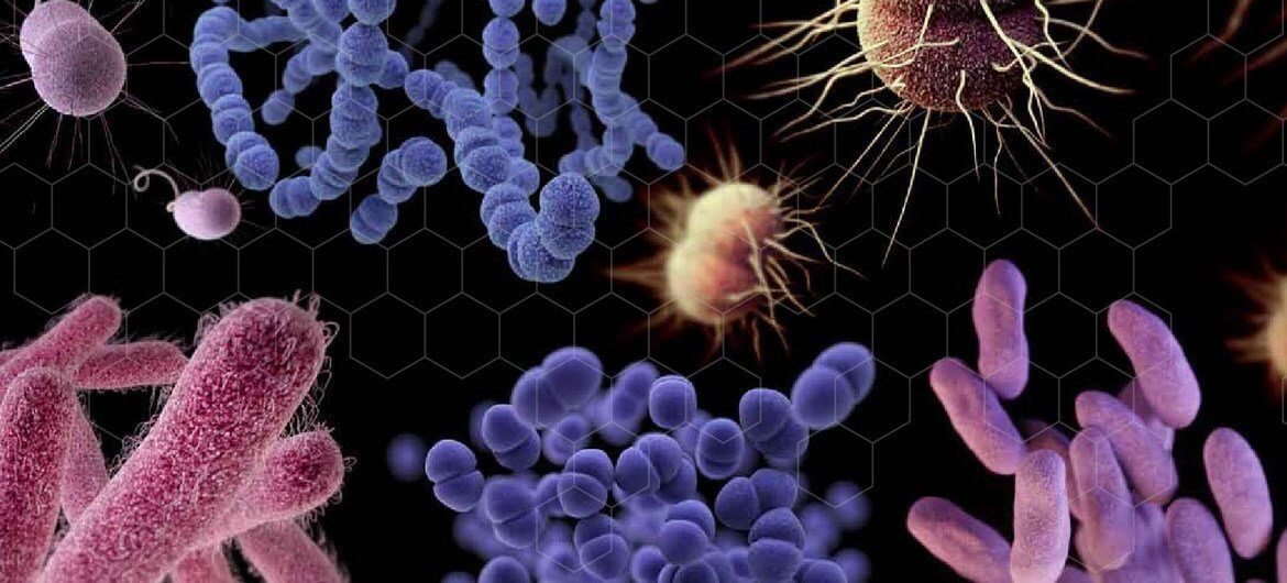 imagen noticia La OMS alerta de que el desarrollo de nuevos antibióticos está “estancado”
